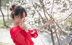 迪迪豆豆爱探险